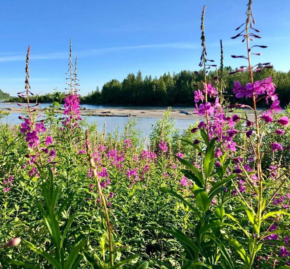 Susitna River Lodging, Suites Талкитна Экстерьер фото