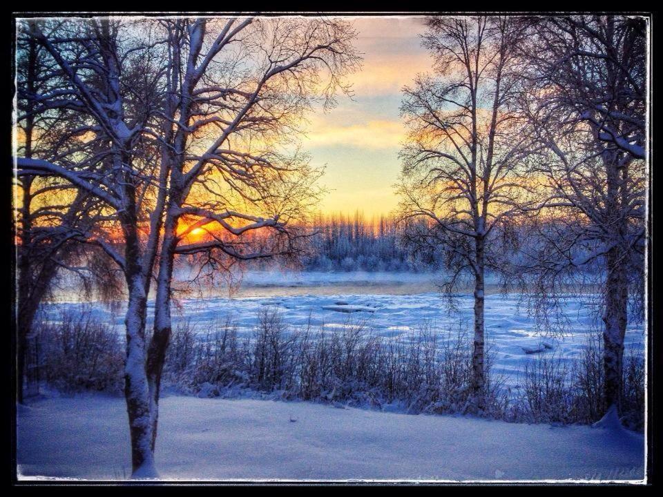 Susitna River Lodging, Suites Талкитна Экстерьер фото